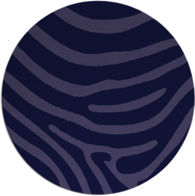 proud zebra rug - item 1136644