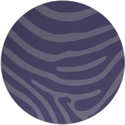 proud zebra rug - item 1136649