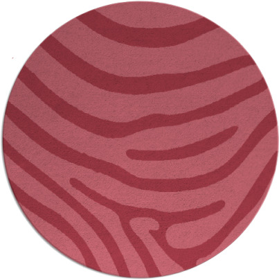 proud zebra rug - item 1136653