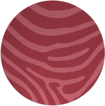 proud zebra rug - item 1136654