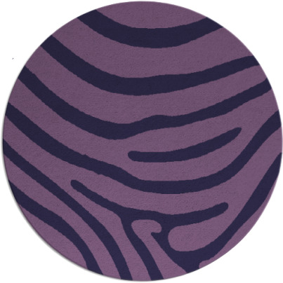 proud zebra rug - item 1136655