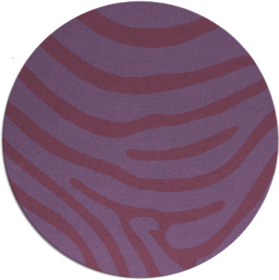 proud zebra rug - item 1136657