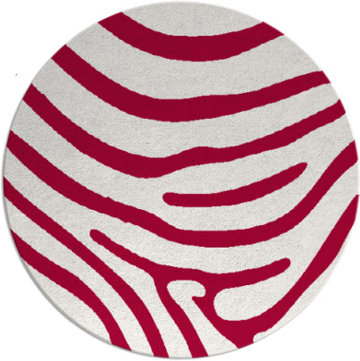 proud zebra rug - item 1136675
