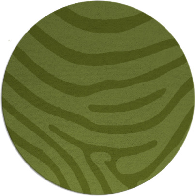 proud zebra rug - item 1136683