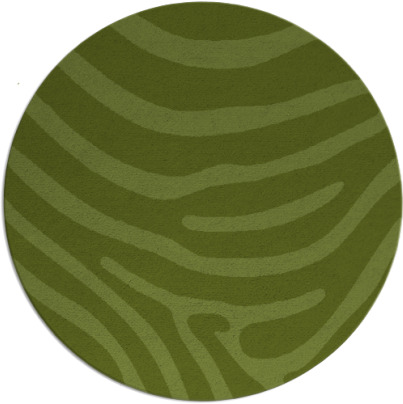 proud zebra rug - item 1136684