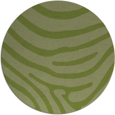 proud zebra rug - item 1136686