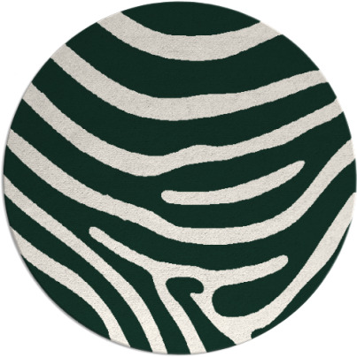 proud zebra rug - item 1136694