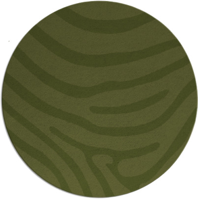 proud zebra rug - item 1136696