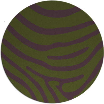 proud zebra rug - item 1136697