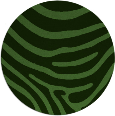 proud zebra rug - item 1136701