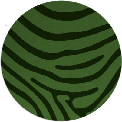 proud zebra rug - item 1136702