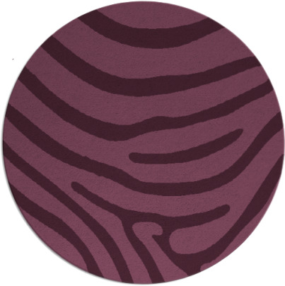 proud zebra rug - item 1136726
