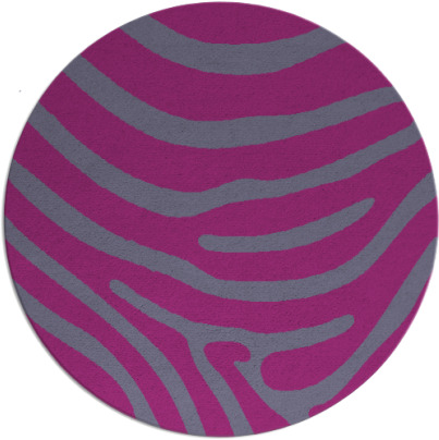 proud zebra rug - item 1136728