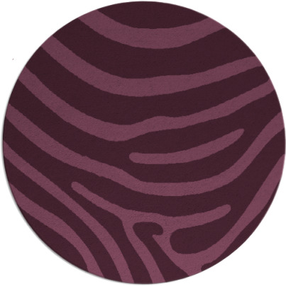 proud zebra rug - item 1136733