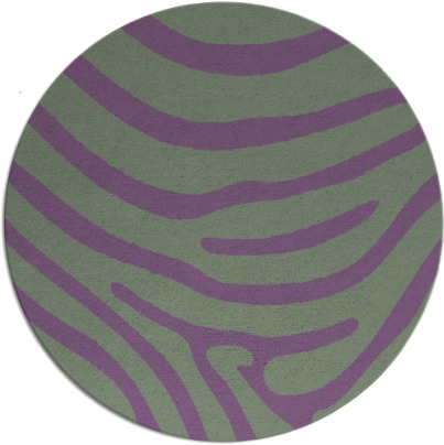 proud zebra rug - item 1136746