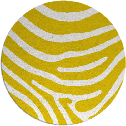 proud zebra rug - item 1136750