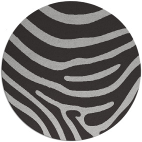 Proud Zebra Rug