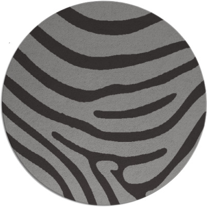 proud zebra rug - item 1136754