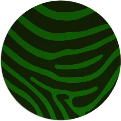 proud zebra rug - item 1136763