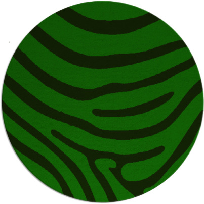 proud zebra rug - item 1136764