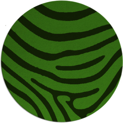 proud zebra rug - item 1136766