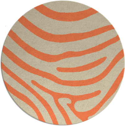 proud zebra rug - item 1136775