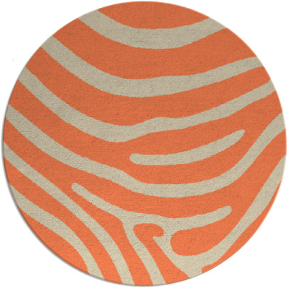 proud zebra rug - item 1136776