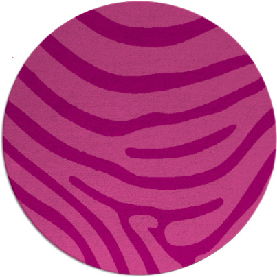 proud zebra rug - item 1136783