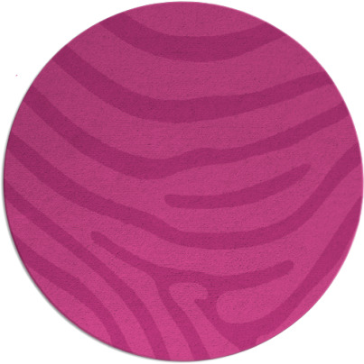 proud zebra rug - item 1136785