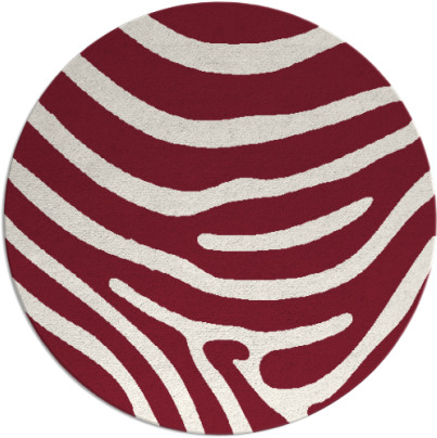 proud zebra rug - item 1136788