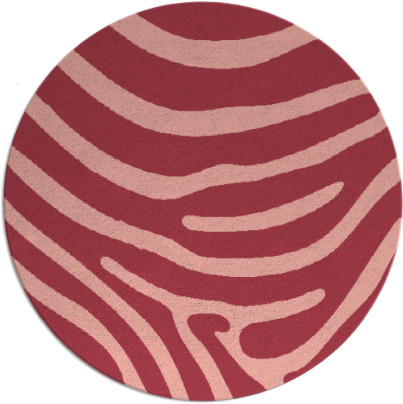 proud zebra rug - item 1136792