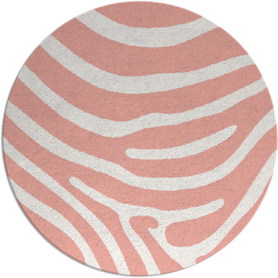 proud zebra rug - item 1136796