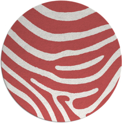 proud zebra rug - item 1136798