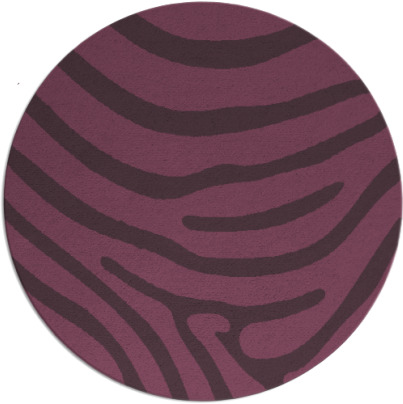 proud zebra rug - item 1136799