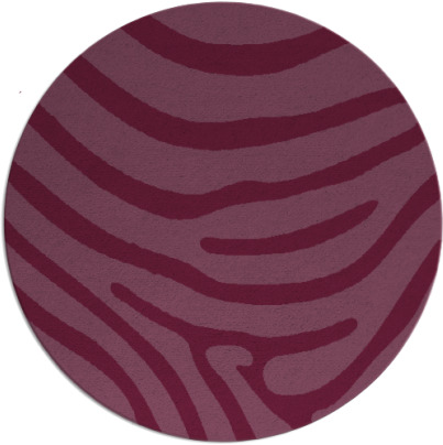 proud zebra rug - item 1136801