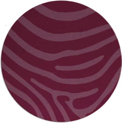 proud zebra rug - item 1136802