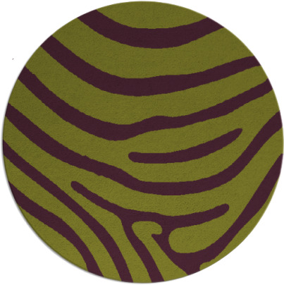 proud zebra rug - item 1136803