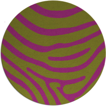 proud zebra rug - item 1136805