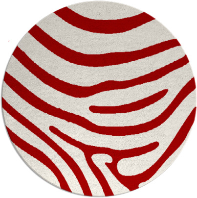 proud zebra rug - item 1136815