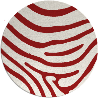 proud zebra rug - item 1136823