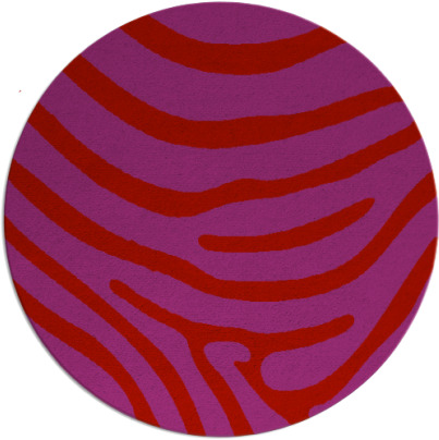 proud zebra rug - item 1136827