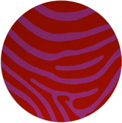 proud zebra rug - item 1136828