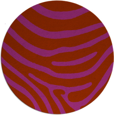 proud zebra rug - item 1136830