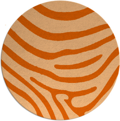 proud zebra rug - item 1136835