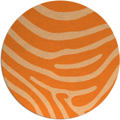 proud zebra rug - item 1136838
