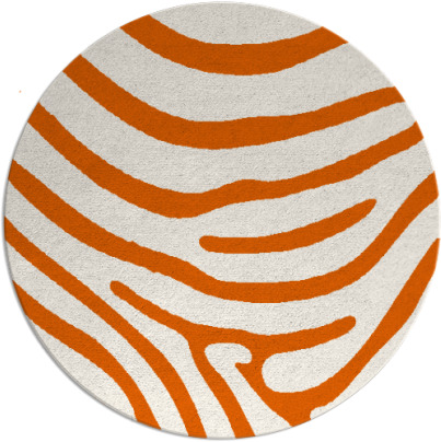 proud zebra rug - item 1136844