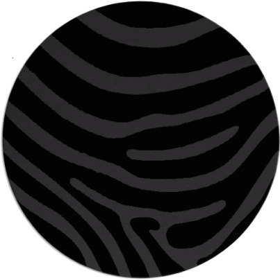 proud zebra rug - item 1136849