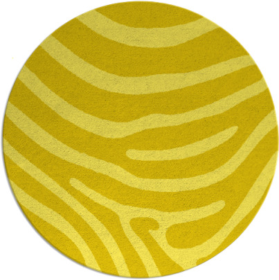 proud zebra rug - item 1136853