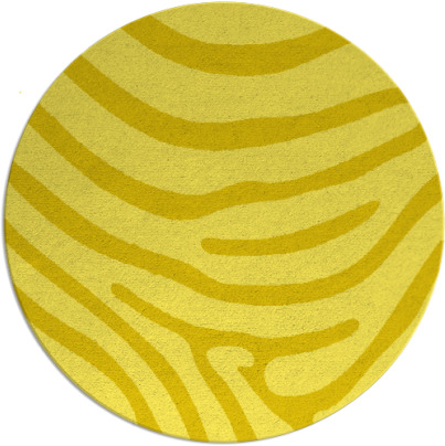 proud zebra rug - item 1136854