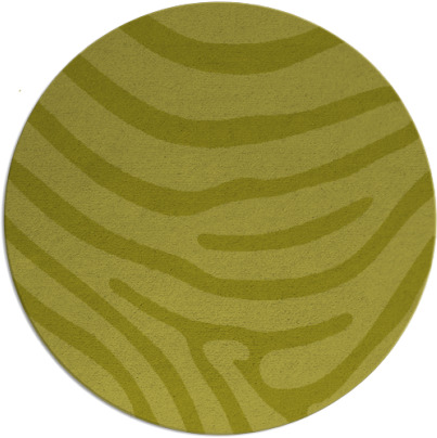 proud zebra rug - item 1136897